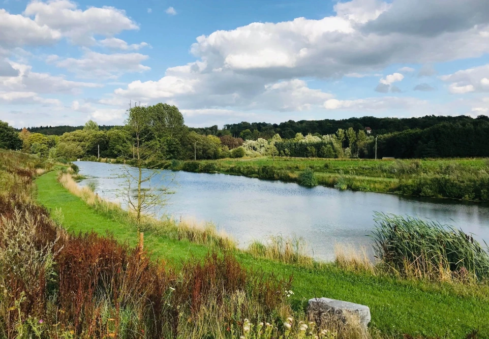 Vue au pied de l'étang, réhabilité pour donner une source d'eau pour les cultures avoisinantes et pour développer la biodiversité