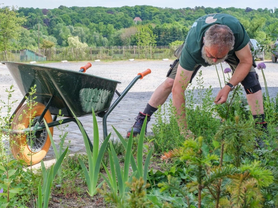 Le travail de la terre se fait à la main et à l'outil, à Foster. Parfois avec un petit tracteur mais c'est surtout la passion, la patience et le travail sans relâche qui animent les Fosterriens