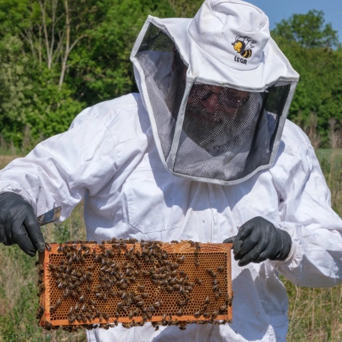 Foster Farm artisan apiculteur
